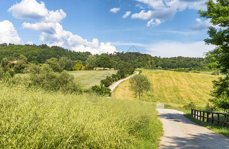意大利托斯卡纳农村日落景色乡下草原绿图片