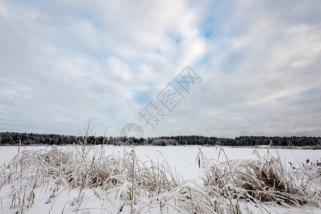 冰冻的乡村场景在冬天有雪域图片