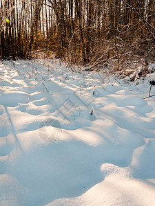 冰冻的乡村场景在冬天有雪白雪皑的森林图片
