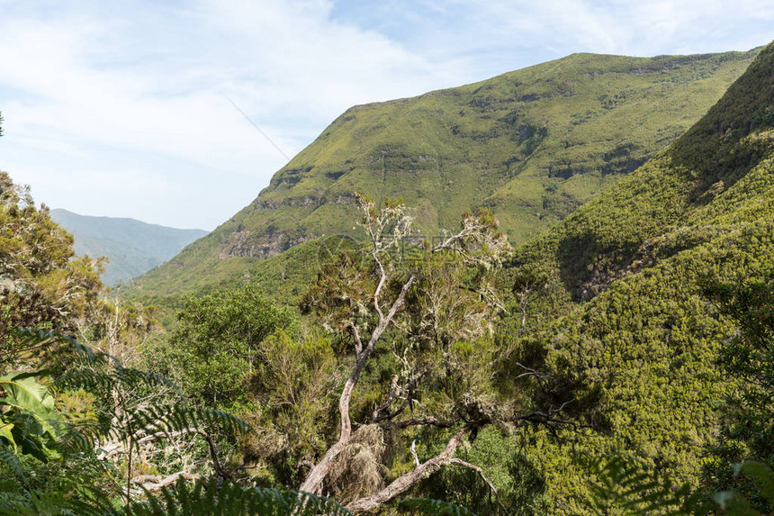 葡萄牙马德拉岛上风景如画的山脉和雨林山图片