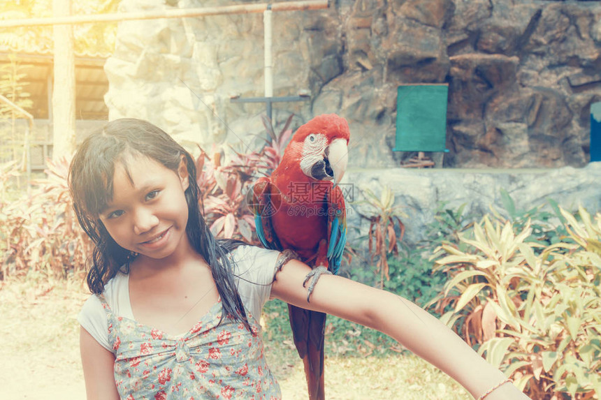 MacawBird在清迈动物园清迈动物园的Asia儿童图片