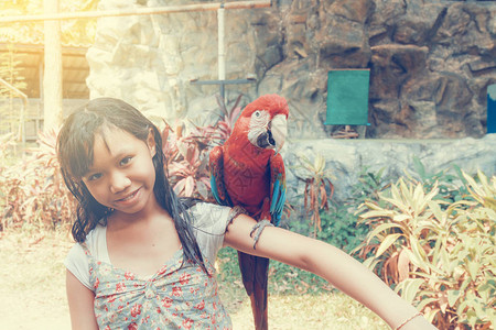 MacawBird在清迈动物园清迈动物园的Asia儿童图片