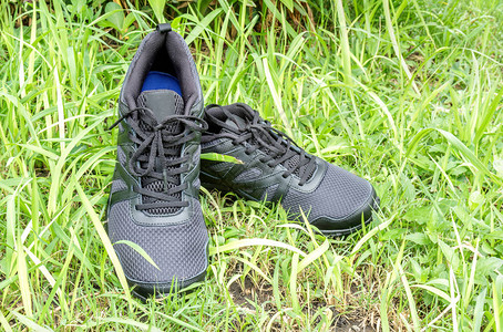 绿色草地上的跑鞋颜色为黑色图片
