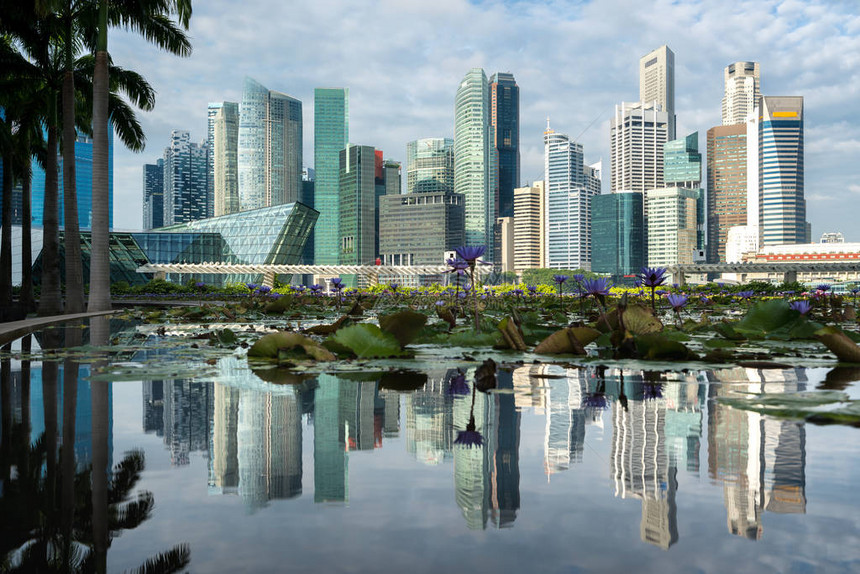 新加坡商业区有摩天大楼建筑和在新加坡Marina图片