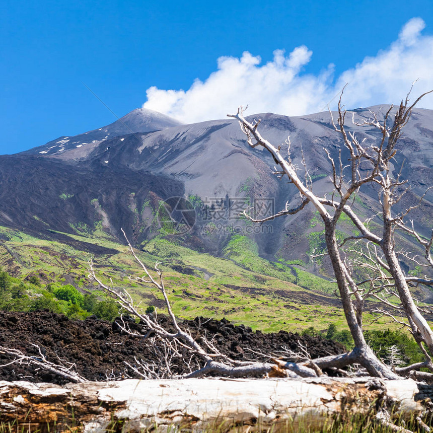 前往意大利西里埃特纳火山斜坡上坚硬熔岩图片
