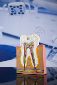 牙医办公室的牙科图片