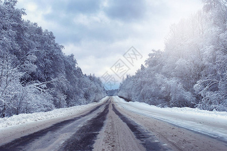 冬季森林中风雪覆盖的荒野图片