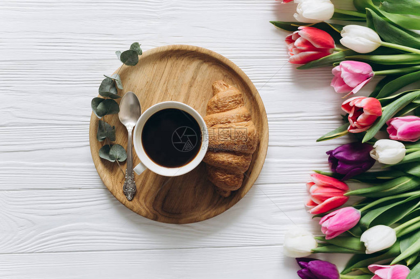 美丽的郁金香花配有咖啡图片