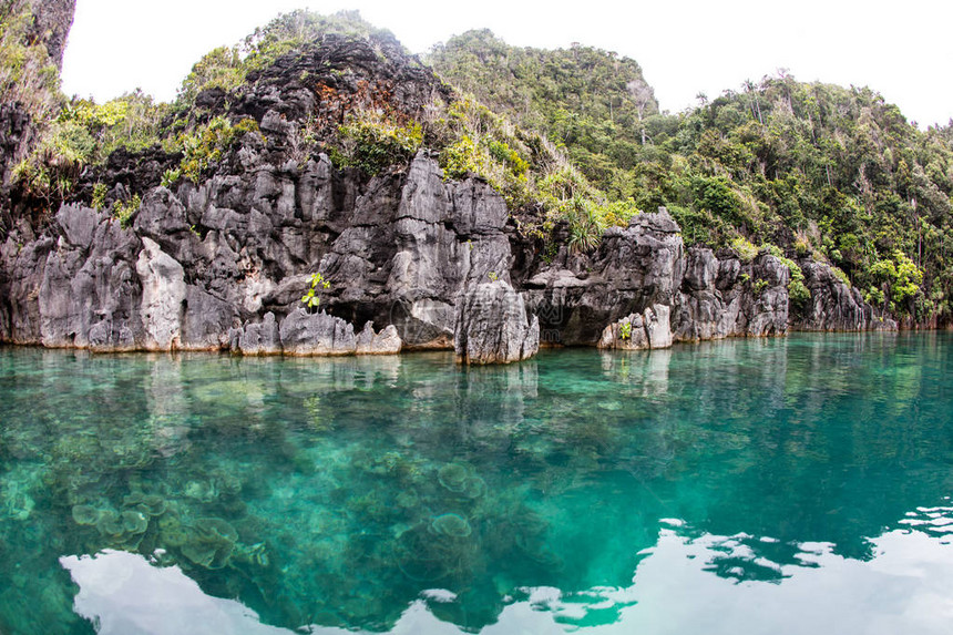 石灰岩岛被印度尼西亚四王群岛美丽的珊瑚所环绕这个远离新几内亚鸟头半岛的偏远热带地区拥有壮观的海图片