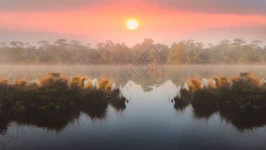 在湖和天空金子的大太阳早晨图片
