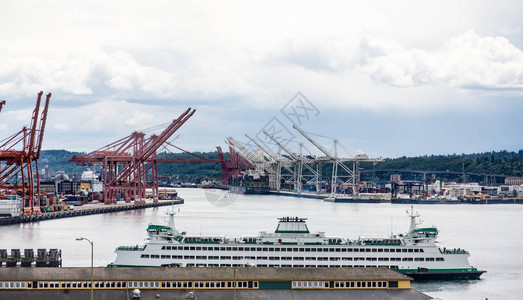 西雅图货运码头的巨大绿色和白色渡轮图片