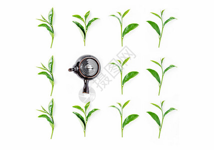 白色背景的茶壶中的绿茶叶图片