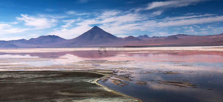 Altiplano高原玻利维亚EduardoAvaroa安第斯野生动植物保留地上带火烈鸟图片