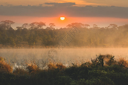 在湖和天空金子的大太阳早晨图片