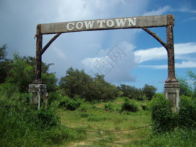 塞班岛马尔皮的牛镇在1990年代曾是一个旅游牧场背景图片