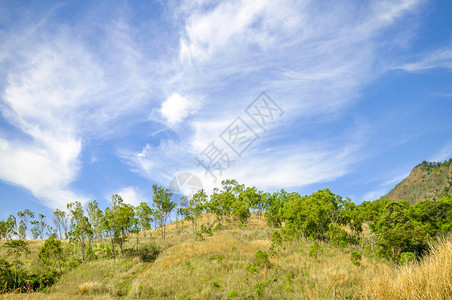 蓝色天空背景的青山绿图片