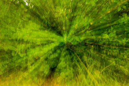 绿色童话森林背景图片图片
