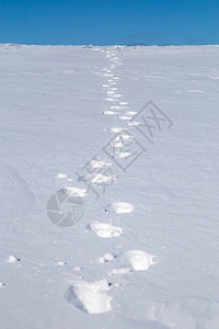 地平线以外的雪场上的脚印图片