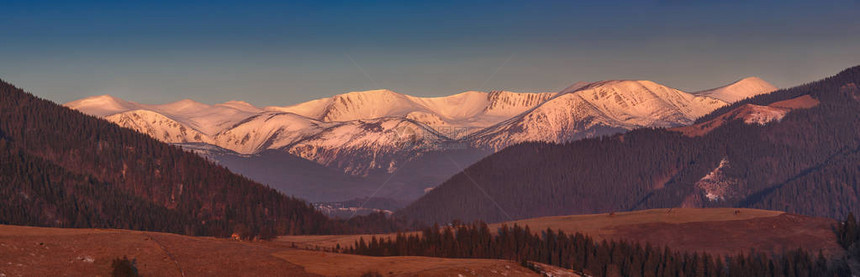 白雪喀尔巴阡山脉在清晨阳光的粉红光照下分图片