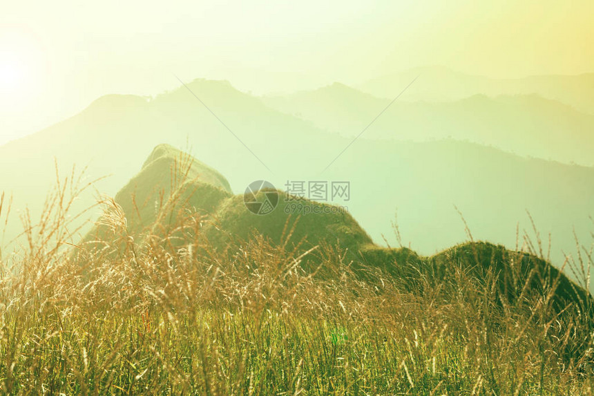 山上的黎明山上的草地有阳光新图片