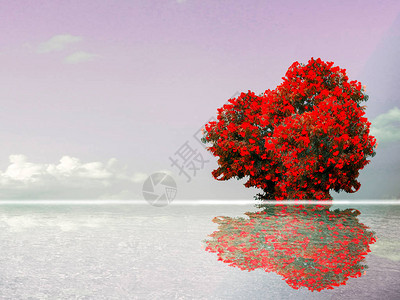 红色花反射天空云彩和湖水表面图片