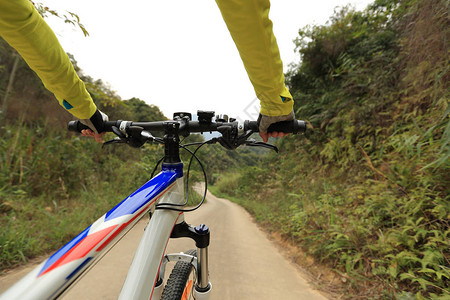 骑着山上自行车在森林足迹上行驶时使用智能手机进图片