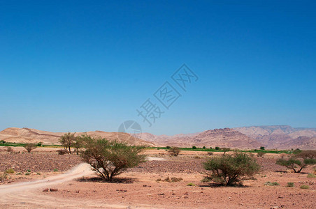 这是约旦唯一个涵盖不同生物地理区的保护区图片