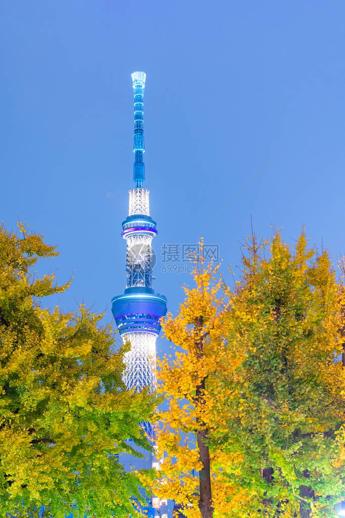 东京天树是日本新电视广播塔和东京夜间地标的图片