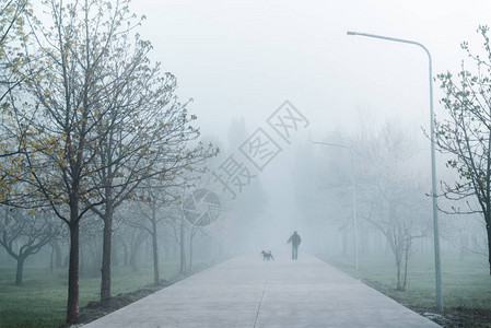 清晨城市公园雾人带着图片