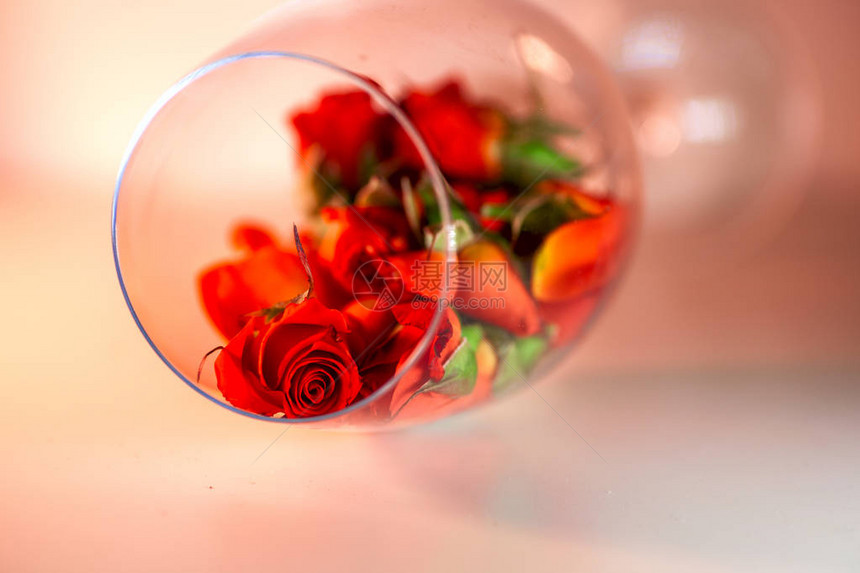 装满红玫瑰花瓣的玻璃花瓶白色背景芳香疗法的概念白色背景芳香疗法的概图片