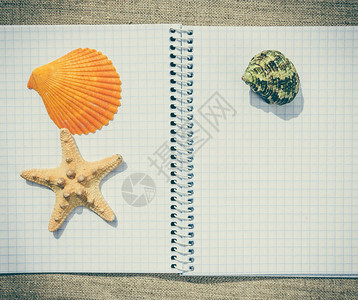 白清洗笔记本铅笔和贝壳图片
