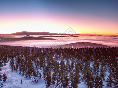 在山的冬天晚上粉雪覆盖山的森林日落前一分钟图片