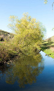 与河的春天风景图片