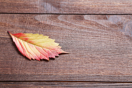 棕色木桌上的秋叶图片