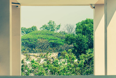 窗户和绿树背景的复古色调图像图片