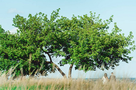 新郎和新娘站在城市边缘的一棵简单的树下图片