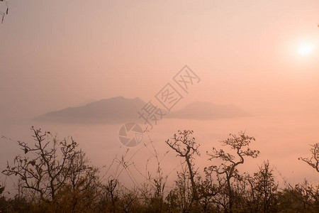 泰国的风景自然太阳图片