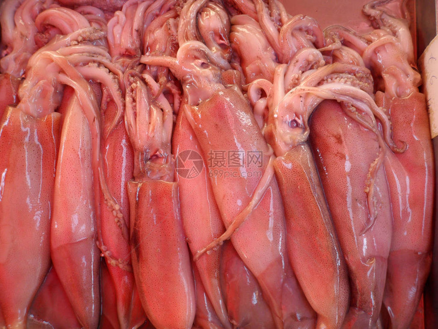 在马耳他岛周围地中海域新捕捉到的含有粉红鱿鱼堆的托盘图片