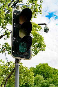 树和蓝天的杆子上的交通灯绿图片