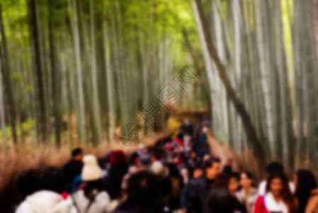 在日本京都亚林山的竹布树林里人们的图片