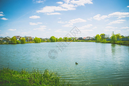 舒适的乡村湖夏天图片