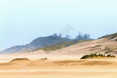 大风吹着沙滩上的沙子植被和海岸天际线图片