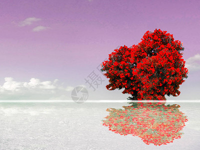 红色花反射黑暗的天空云彩和湖水表面图片