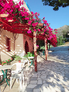 希腊传统的带有花灌丛建筑结构的梯田背景图片