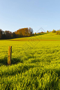 清晨被森林和耕地包围的瑞士农舍瑞士的农业耕地和牧场木杆作图片