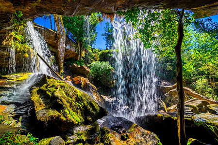 雨林中美丽瀑布的风景照片图片