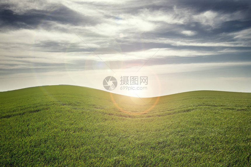 绿色的田野夕阳下的蓝天图片