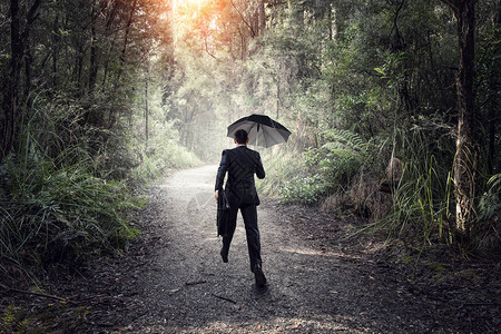 拥有雨伞和手提箱在森林中行图片