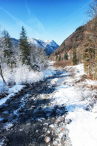 在一条河的冬天日出与白雪覆盖的树木图片