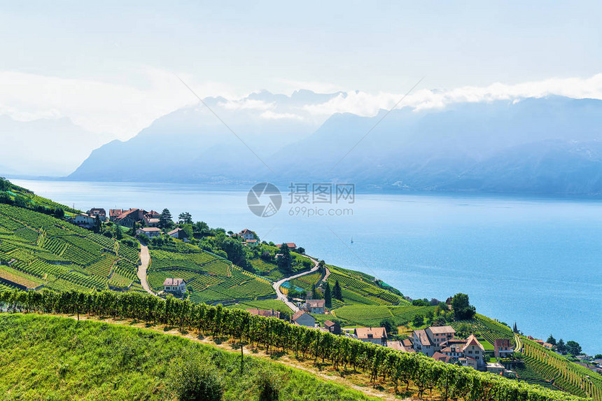 日内瓦湖和瑞士LavauxOron区瑞士山区的LavauxVineyardT图片